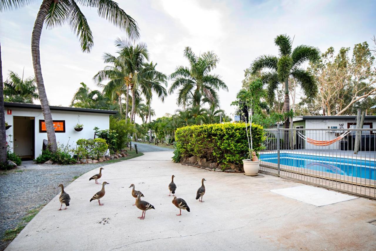 Bush Village Holiday Cabins Airlie Beach Zewnętrze zdjęcie